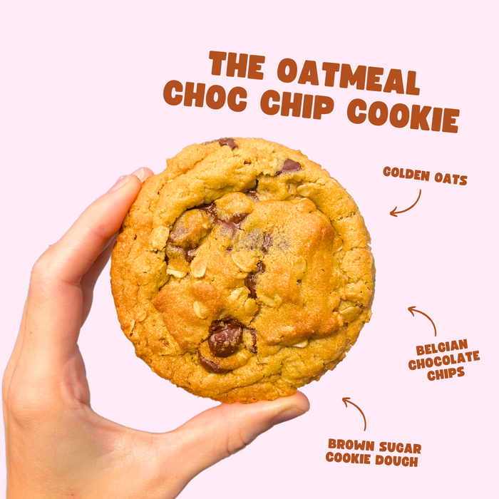 Mr. Oatmeal Choc Chip Cookie